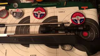 Beeman dual caliber air rifle review [upl. by Reedy552]