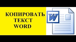 Word как скопировать текст в word [upl. by Derril]