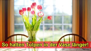 Tulpen in der Vase richtig pflegen amp länger haltbar machen – Tulpen schneiden länger frisch halten [upl. by Eillib717]