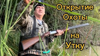 Охота на утку открытиеружьё Bettinsoli XTrail [upl. by Yboj]