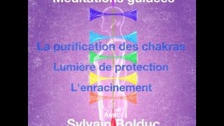 Méditation guidée La lumière de protection Avec Sylvain Bolduc Médium [upl. by Naggem839]