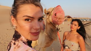 24 Hours in Abu Dhabi With WolfieCindy [upl. by Rayford]