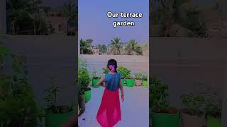 Enga veetu terrace garden rishmicavideos29 tamil love song tamilsong [upl. by Nickey67]