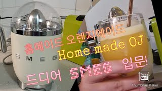 호주 일상생애 첫 SMEG으로 오렌지에이드 만들기초간단 홈드링크스멕쥬스기리뷰smeg juicer reviewhomemade orangeaide with SMEG [upl. by Nylavad]