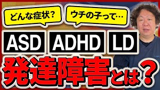 【業界歴10年以上】発達障害とは何なのか？放デイができること [upl. by Yarw966]