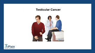 Testicular Cancer [upl. by Lovel]