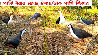 easy way to hunt wild birds  Pakhi dhorar sohoj upay  পাখি ধরার সহজ উপায়  পাখি ধরার সহজ উপায় ফাঁদ [upl. by Ahsilav17]