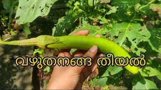 Kerala Style Vazhuthananga Theeyal  Easy Brinjal Curry Recipe  വഴുതനങ്ങ തീയൽ [upl. by Anigroeg]