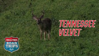 The Early Season Tennessee Velvet Hunt  Realtree Road Trips [upl. by Klockau]