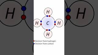 Nucleons Can Have VALANCE SHELLS science physics nuclear [upl. by Annaira]