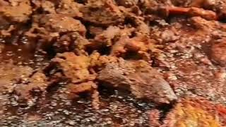 Patthar Gosht [upl. by Haidadej879]