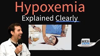 Hypoxemia Explained Clearly  Causes Physiology Hypoxia Treatment [upl. by Laney]