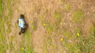 Nitro Rc Buggy Picco Engine OFNA RACING [upl. by Lenrad]