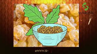 Sivaroma Boswellia Serrata Extract [upl. by Kyd]