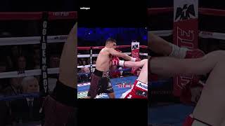 Breakdown of Canelos Devastating Knockout of Amir Khan in Boxing Fight [upl. by Ollayos]