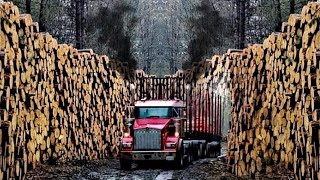 I Quit 8th Grade amp Started Chopping Wood Now I Own A Fleet Of 50 Semi Trucks amp Onaway Speedway [upl. by Pytlik]