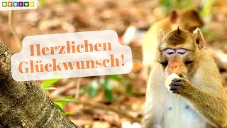 Herzlichen Glückwunsch zum Geburtstag 🎂  Tierische Geburtstagsgrüße für dich 🎵 [upl. by Sieber32]