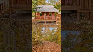 200000 Kentucky Cabin  5 Acres  324 Trillium Ln East Bernstadt KY 40729 [upl. by Jana]