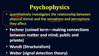 Psychophysics [upl. by Flemming]