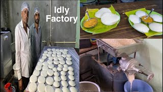 Idly factory 🏭 making 1000 idly per day  G HOME COOKS RECIPES [upl. by Ainesy]