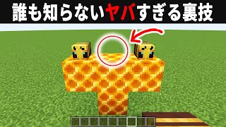 【海外検証】謎が多すぎるマインクラフト10選【ゆっくり実況】【マイクラ】 [upl. by Haiacim]