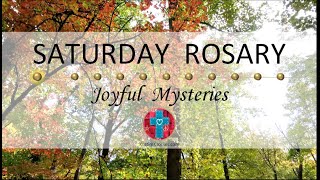 Saturday Rosary • Joyful Mysteries of the Rosary 💙 November 25 2023 VIRTUAL ROSARY  MEDITATION [upl. by Rochkind]