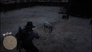 Red Dead Redemption 2  Looting interiors 81 Silent Stead [upl. by Rebmik592]