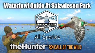 Waterfowl Guide For All Species At Salzwiesen Park  theHunter Call Of The Wild [upl. by Thurmond]