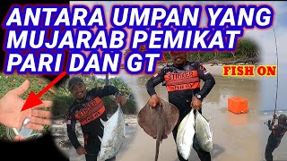 UMPAN PADU PEMIKAT IKAN PARI DAN GT GIANT TREVALLY DIPANTAI surfcasting [upl. by Chappelka]