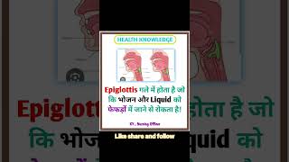 What is Epiglottis education health nursing nursingofficer medical gk students upsc shorts [upl. by Bully944]