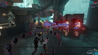 warframe  build qorvex final [upl. by Ariaec35]