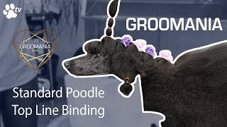 Standard Poodle Top Line Binding with Lienke Luthart  Groomania 2020 Grooming Demonstration [upl. by Marietta379]