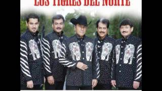 Al Mil Por Uno  Los Tigres Del Norte [upl. by Banky]