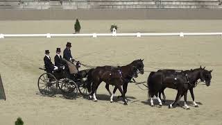 Boyd EXELL AUS  CAI H4 Szilvásvárad Hungary dressage 14 July 2023 [upl. by Aleunam910]