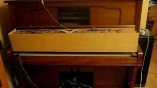 Modified PianoCorder Keytop Player on Steck Pianola Player Piano plays quotLittle by littlequot [upl. by Laufer]