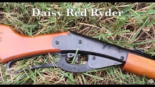 REVIEW  Daisy Red Ryder  Back Yard BB airgun  Classic [upl. by Evadnee]