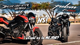 ¡La BATALLA más ESPERADA😨 Pulsar N250 vs Dominar 250😱🔥  Aguacate Motovlogs🥑 [upl. by Intirb]