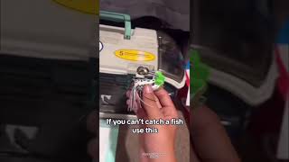 fishtok fishing bass catfish glide bait whopper plopper lures fish blue gill [upl. by Eelak]