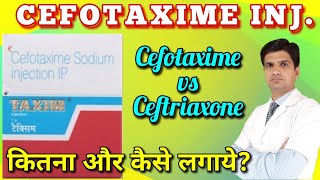 Taxim injection  Taxim injection uses in hindi  Cefotaxime injection  Cefotaxime vs ceftrixone [upl. by Asuncion760]