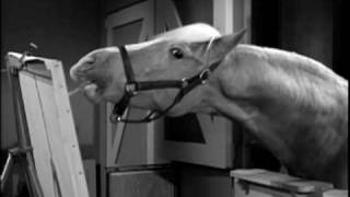 Mister Ed Seasons 1 amp 2  DVD Trailer [upl. by Joya]