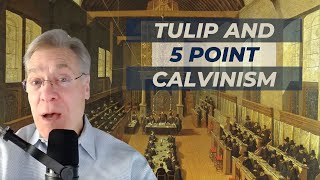 The History of TULIP and Calvinism Explained [upl. by Chapnick114]