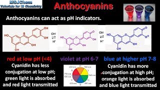 B9 Anthocyanins HL [upl. by Renata]