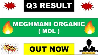 Meghmani Organics Q3 Results 2024  Meghmani Organics Results  Meghmani Organics latest news [upl. by Stodder]