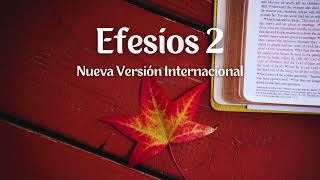 Efesios 2  Nueva Versión Internacional  Biblia en audio [upl. by Byran]