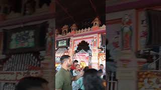 MOGAL DHAM🚩 KabrauKutchJay Mogal Maa🙏🙏 shrotsvairalvideo Maa Mogal [upl. by Ynnahc597]