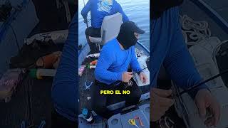 Encuentro Épico con Delfines shorts fishing pesca [upl. by Fidelis]