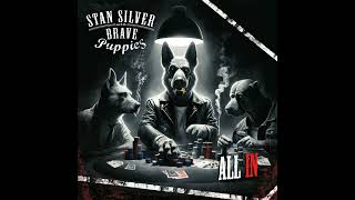 Stan Silver And The Brave Puppies  Cowboy City Saloon ClassicRock [upl. by Mehs60]