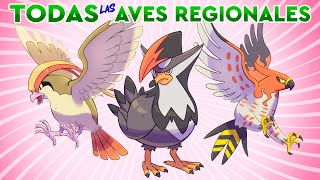 TODAS LAS AVES REGIONALES EXPLICADAS [upl. by Ssenav]