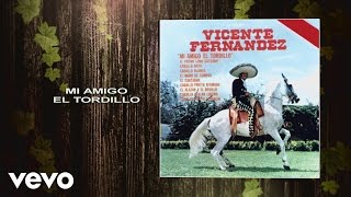 Vicente Fernández  Mi Amigo el Tordillo Cover Audio [upl. by Siouxie]