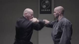 Ninjutsu Hon Gyaku Jime armlock explained  AKBAN Core [upl. by Remmos]